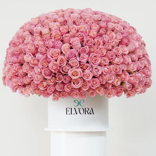 Купол с вечными розовыми розами