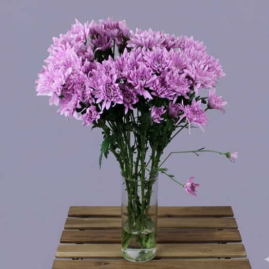 Chrysanthemum Vase 1120