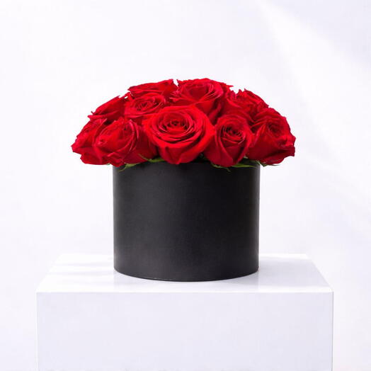 Botanica Rosa Roja BB