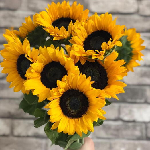 Набор подсолнухов 1214