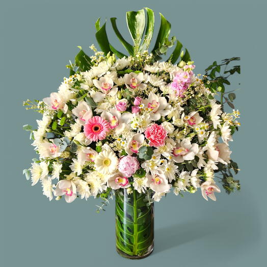 Цветок тропической элегантности