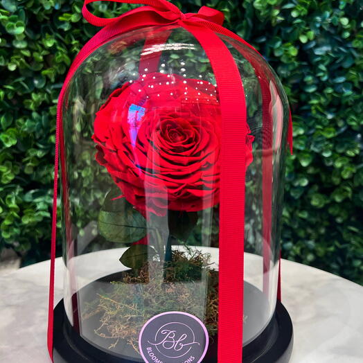 Вечная романтика