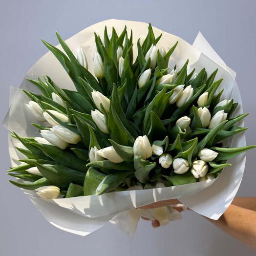 Purest White: A Bouquet of 40 White Tulips