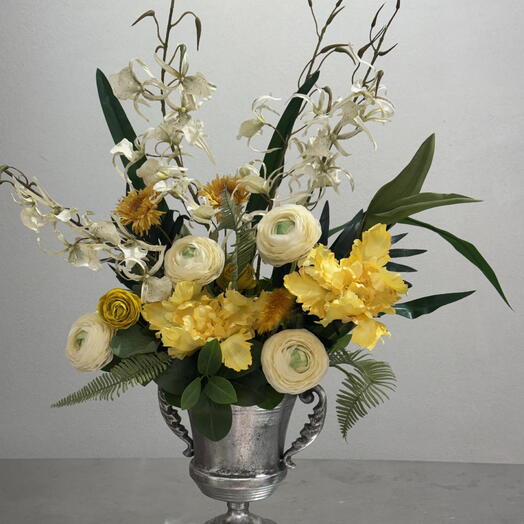 Солнечная грация