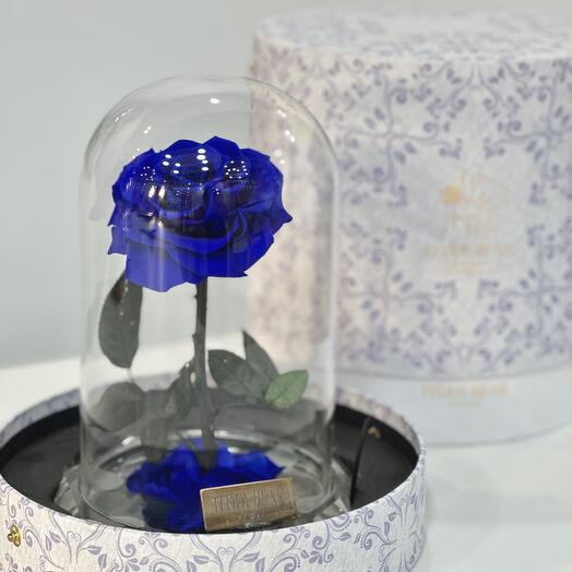 Petale Eternelle Синяя вечная роза