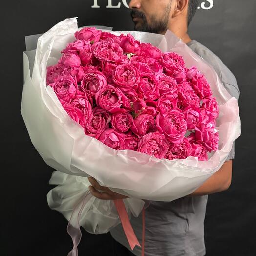 Garden Roses Julietta Cerise