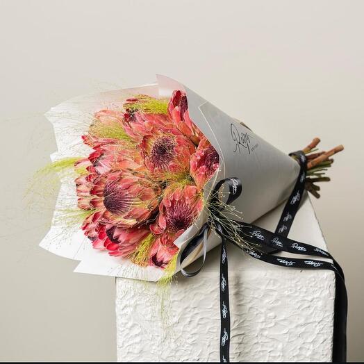 Протенианская Леди