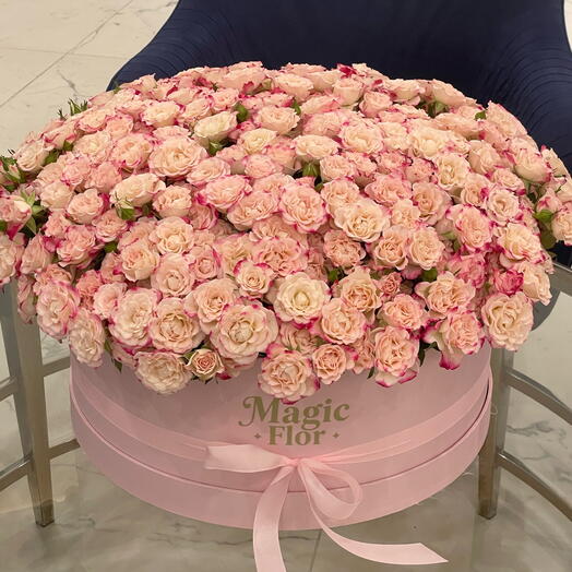 75 وردة سبراي وردية في علبة