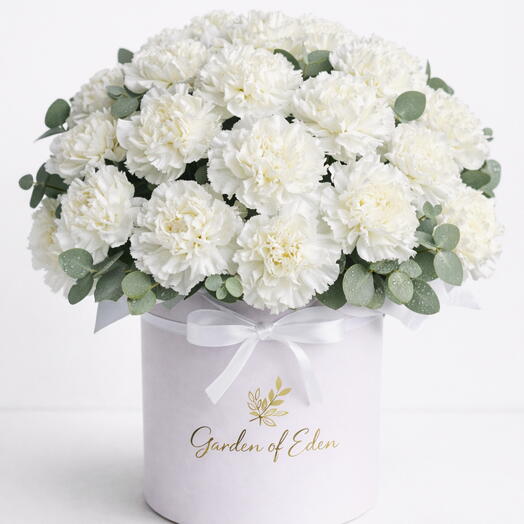 Pure Affection – White Carnations Box (25)