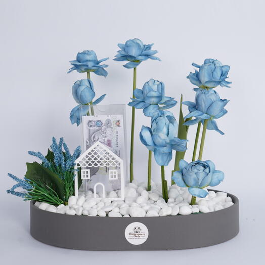 منزل جديد باللون الأزرق مع نقود