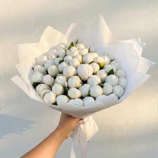 بيونية الثلج