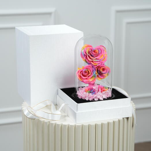 Fellora Premium Colorful Infinity Roses 7544