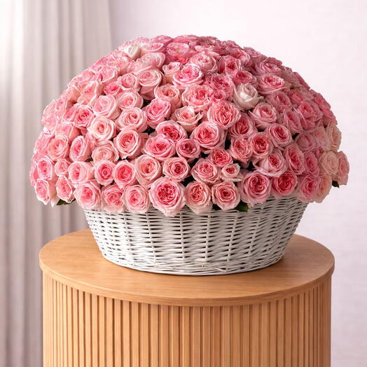 Pink O Hara Luxe 300