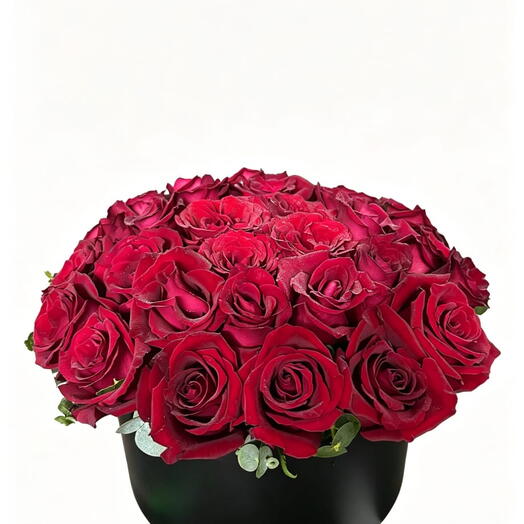 25 Red Roses in Round Box