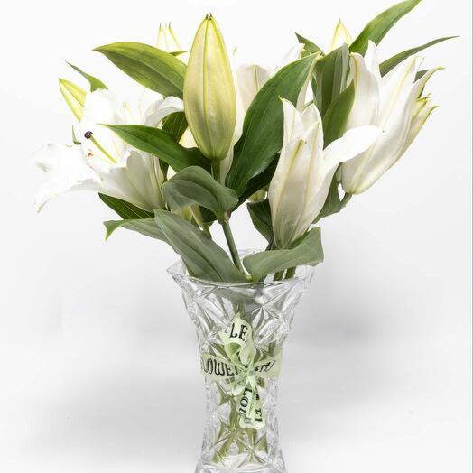 Чистая Красота