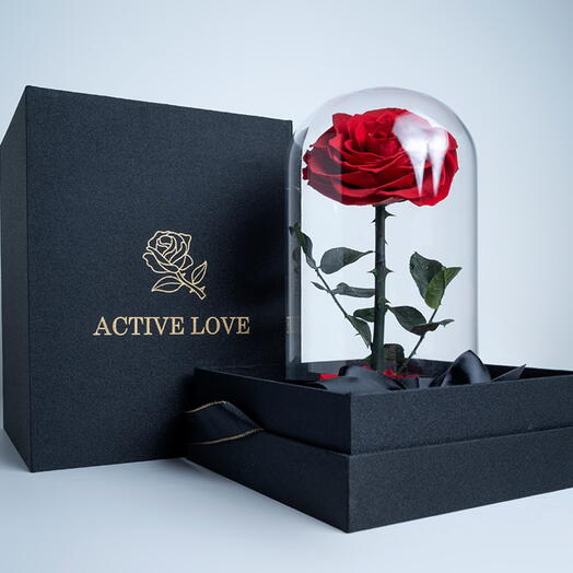 Red Infinity Rose Small-1065