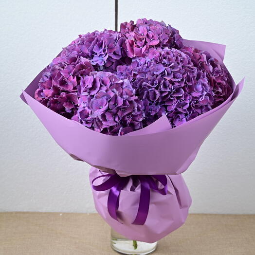 5 тёмно-фиолетовых гортензий-1921