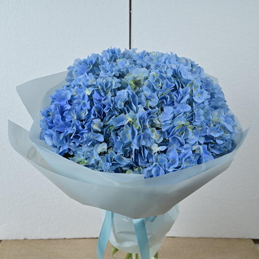 5 синих гортензий-1923