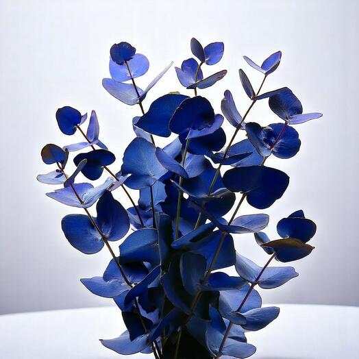 Eucalyptus Cinerea окрашенный в синий – за стебель