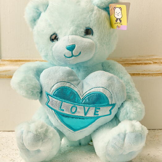 Snuggles Teddy Bear with Heart - Blue Color