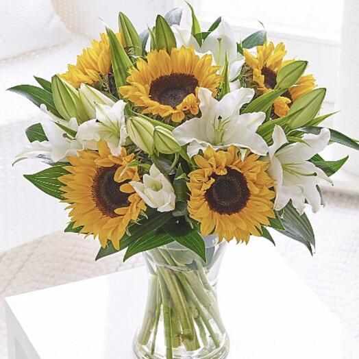 Подсолнух VF 2040