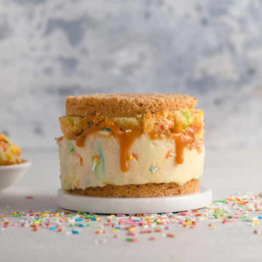 Rainbow Mess Funfetti Mini Cheesecake Sandwich