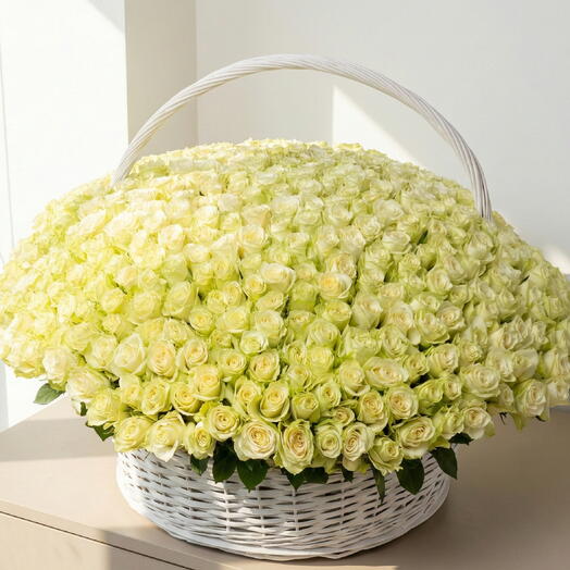 Корзина из 500 белых роз