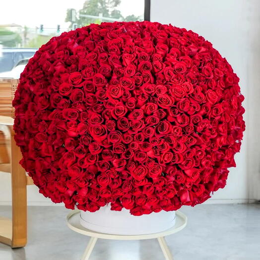 800 roses rouges haut de gamme dans une boîte de luxe