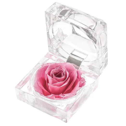 Розовая роза в хрустальной коробке