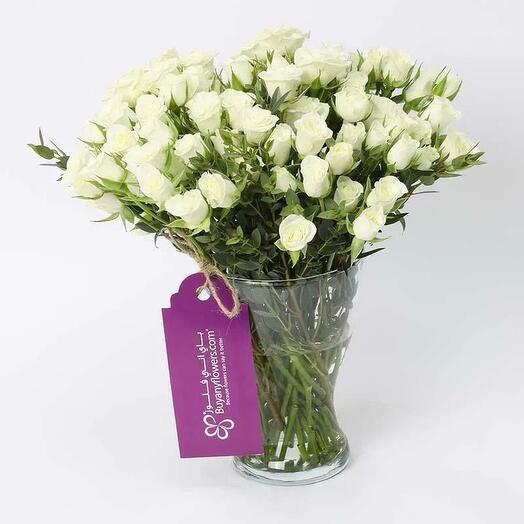 Peace 21 White Baby Roses