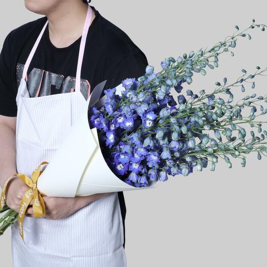 Delphinium Blue-5914