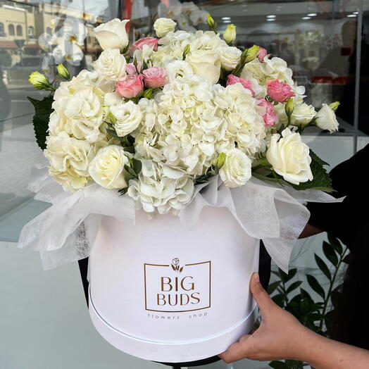 Hydrangea clouds Box