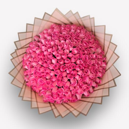 Pink Roses for many celebration