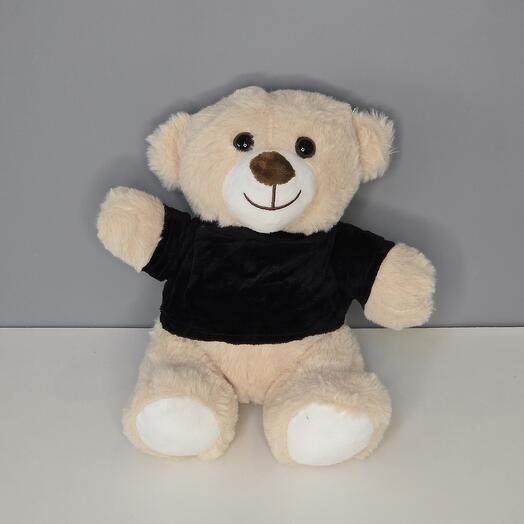 Teddy Bear with Black T-Shirt