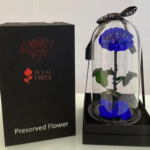 Preserved Blue Rose