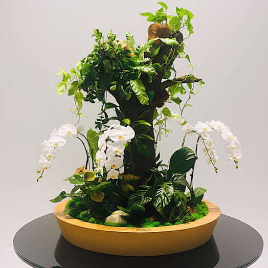 Большой ствол дерева - композиция из растений