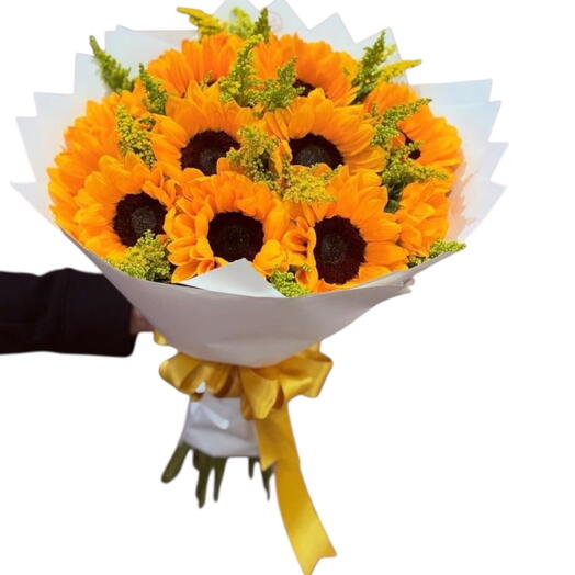 Мой яркий (Премиум)