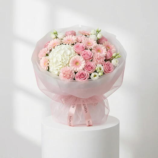 Blush Harmony Cloud: The White Hydrangea   Pastel Gerber Symphony