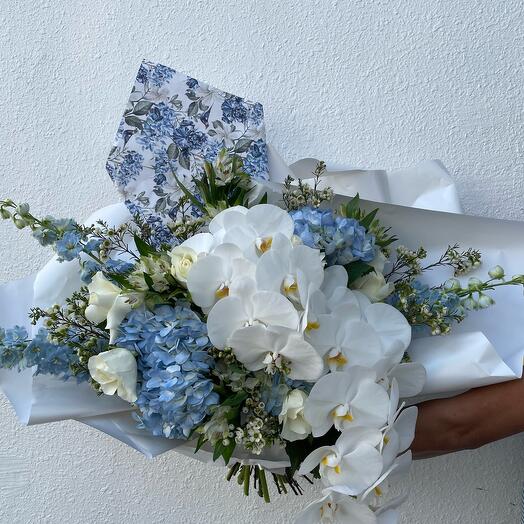 Portugal Hydrangeas blooming