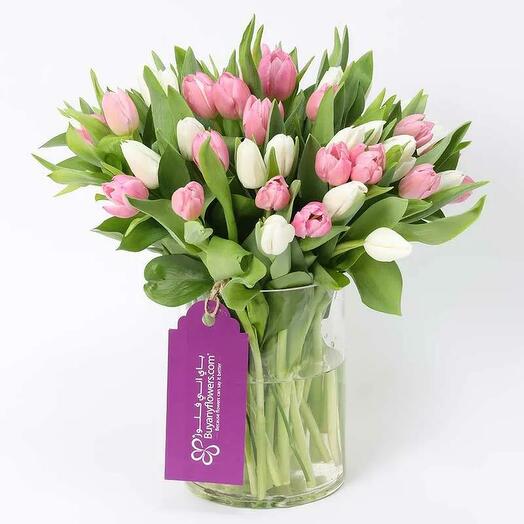 Спокойствие и красота 51 тюльпан