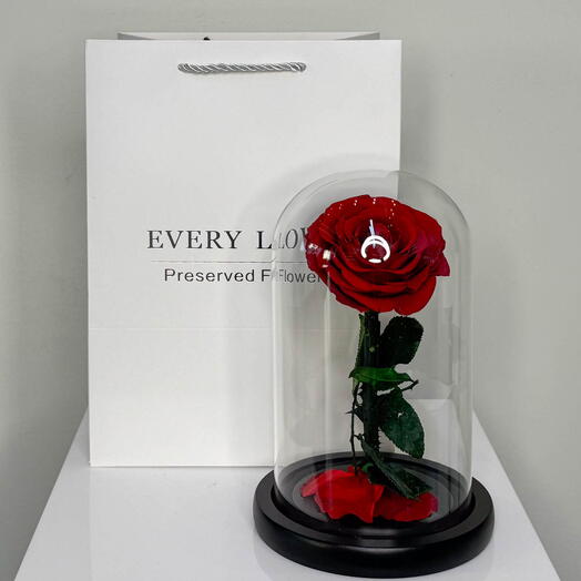 Forever Rose Red