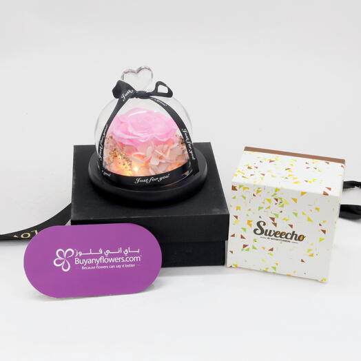 Rosa preservada rosa de diseñador y peluche Te Amo