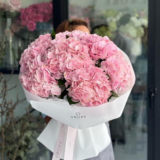 7 Hydrangea Pink