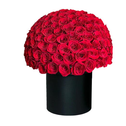 101 Red Roses in a Box