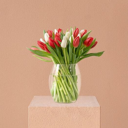 Парадокс тюльпана