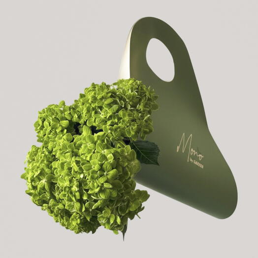 Green hydrangea (5 pcs)