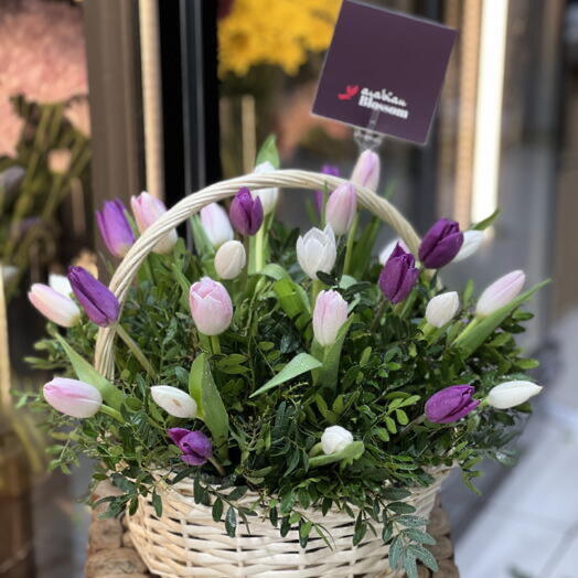 Mix Tulips in a Basket