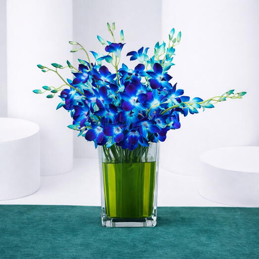 Sapphire Bloom Orchid – ваза с 15 синими орхидеями