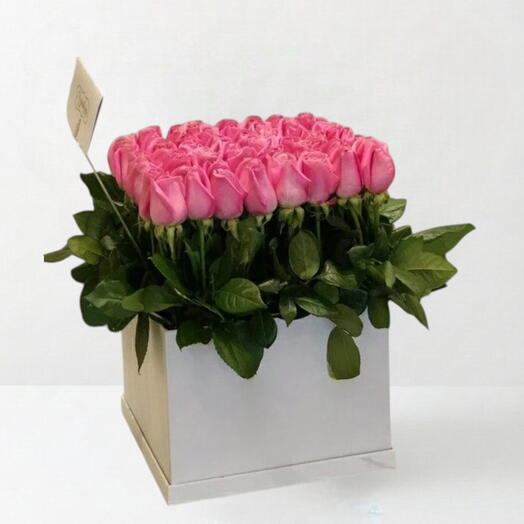 Mini Pop Pink _ Valentine Premium 25 pink Rose Gift Box Arrangement