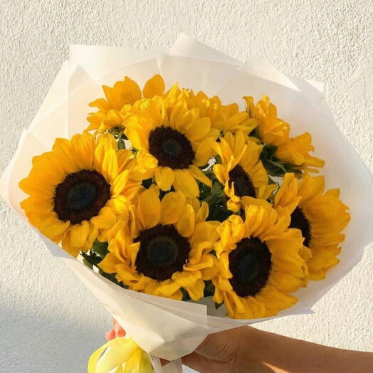 Солнечный луг — лучезарное сочетание тепла природы